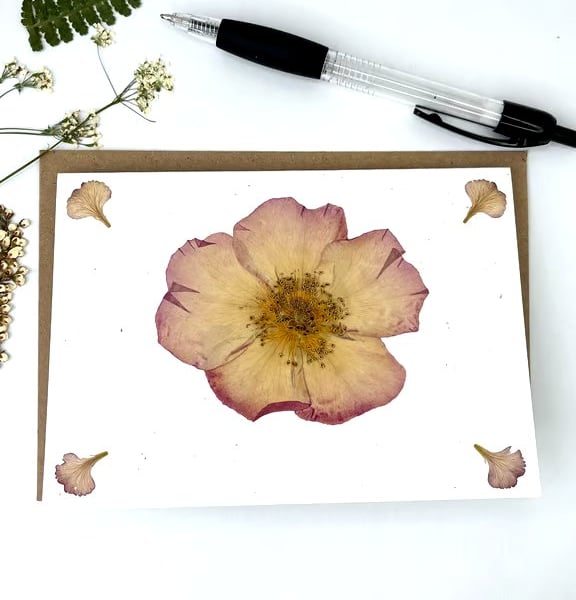 Handmade Real Pressed Rose Greeting Card, Wedding, Anniversary, Birthday