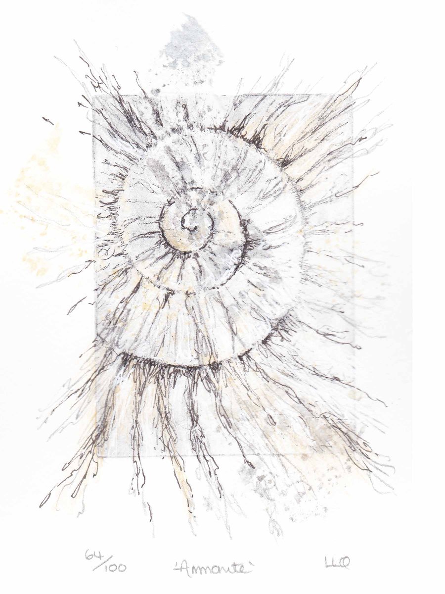 Etching no.64 of an ammonite fossil with mixed media in an edition of 100