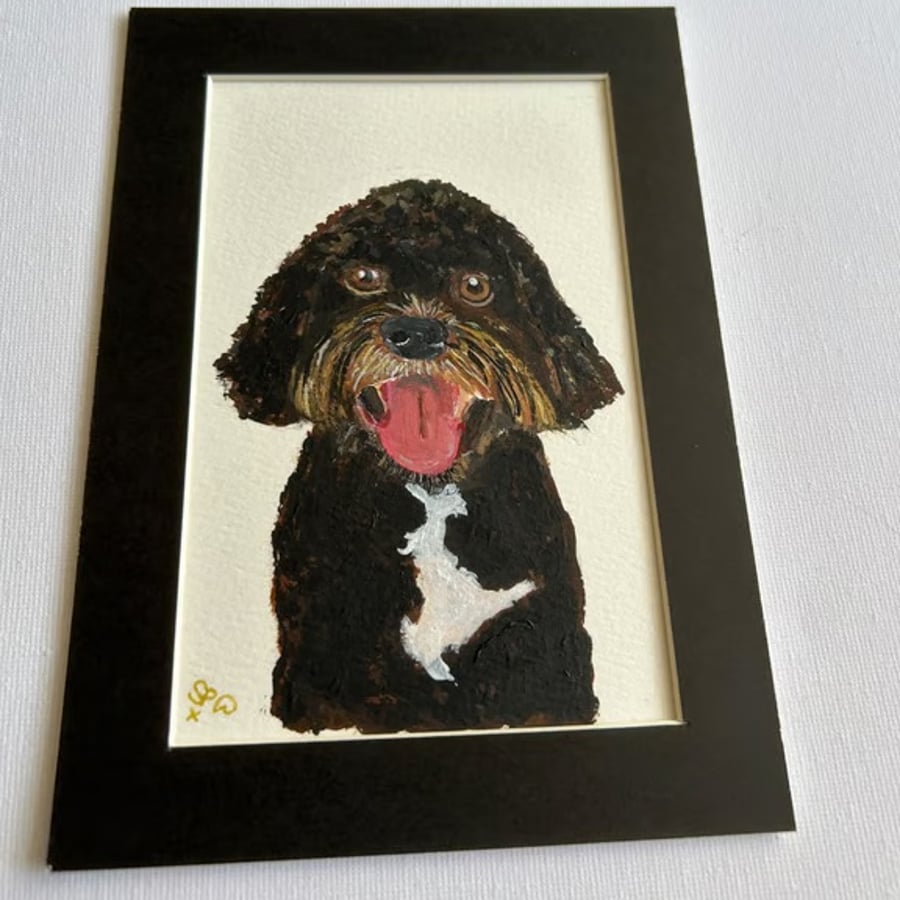 Original painting of a poodle type dog 5x7" pet portrait