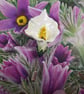 WHITE CALLA LILY- ARUM LILY PIN Wedding Lapel Flower Brooch HANDMADE HANDPAINTED - Image 2