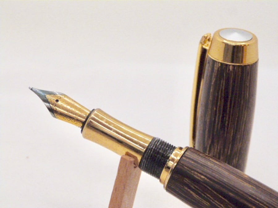 Fountain pen with gold plated details