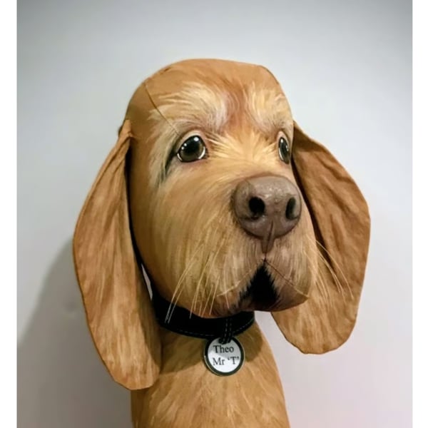 Fully personalised Vizslas