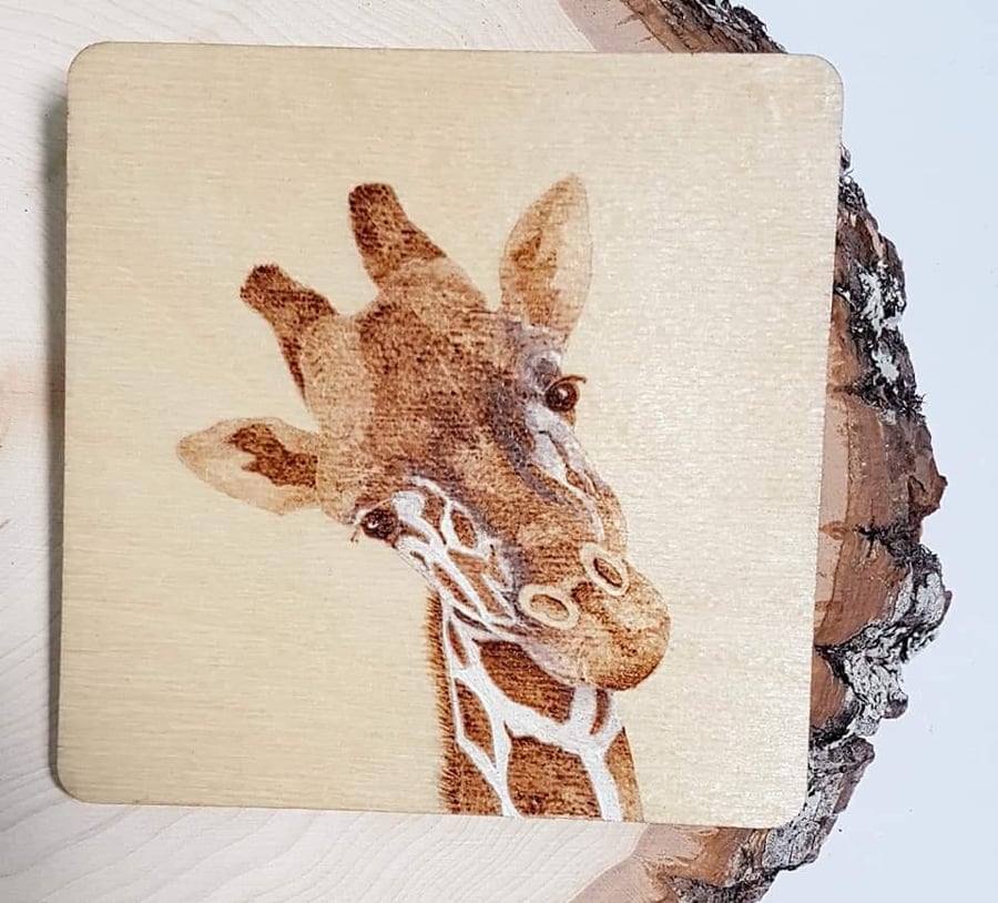 Hand Burned Wooden Coaster - Giraffe
