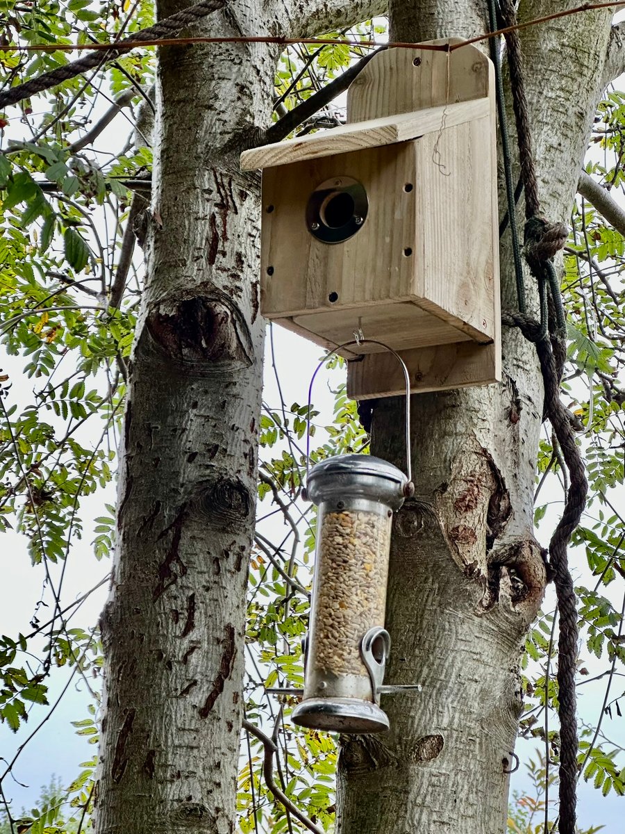 Solid Pine Wood Birdhouse Kit, Kids & Adults DIY Craft, Nesting Box