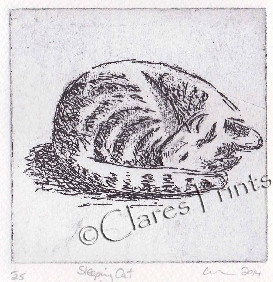 Sleeping Cat Art Print Limited Edition Hand-Pulled Etching Animals