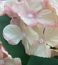 Peachy pink hydrangea flower stem - Image 6