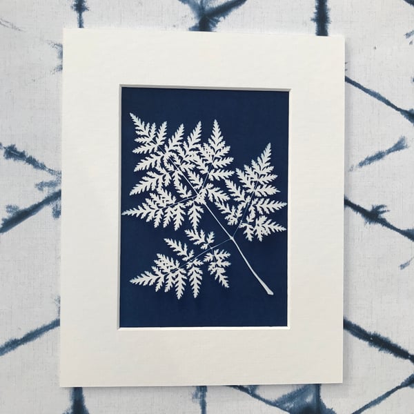 A unique handmade Cyanotype Photogram- Sweet Cicely Leaf,
