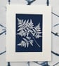 A unique handmade Cyanotype Photogram- Sweet Cicely Leaf, - Image 1