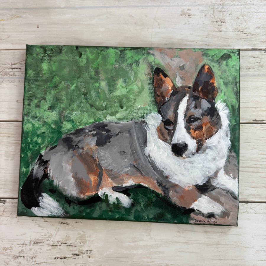 Dog, Corgi Canine, animal, portrait, pet