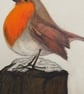 9x12 Perfectly Imperfect Pencil Drawing Robin Bird Art - Image 4