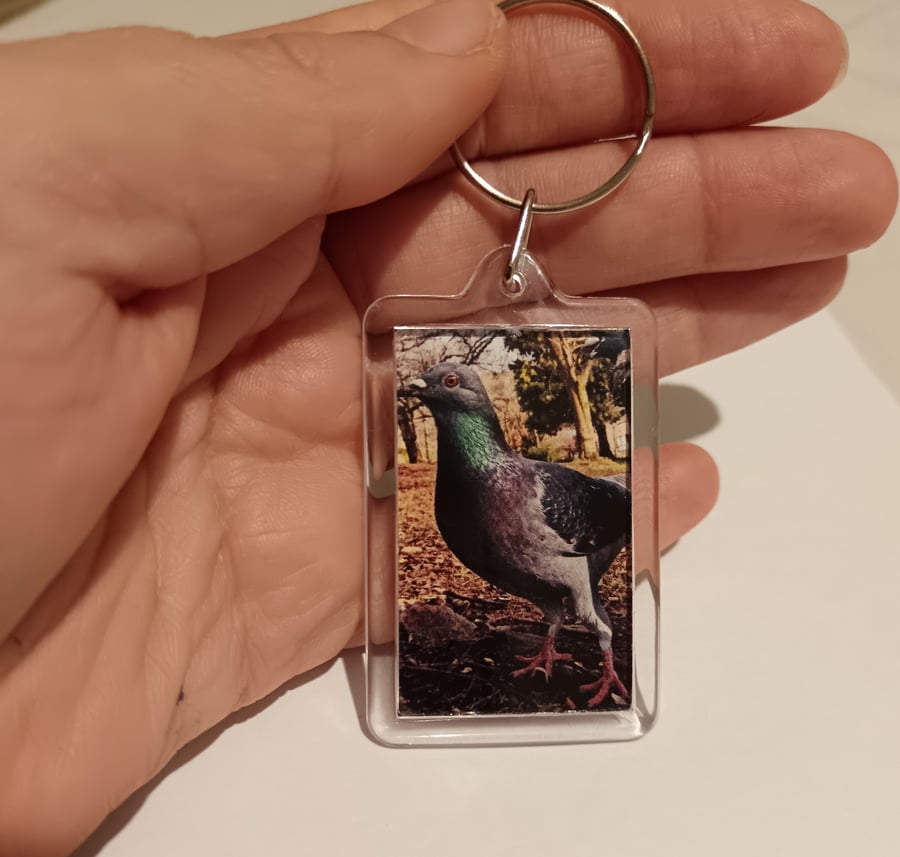 Cute Pigeon photography keyring