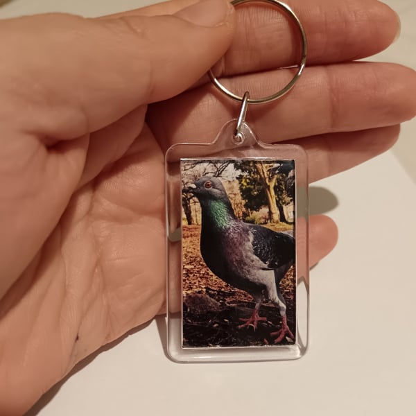 Cute Pigeon photography keyring