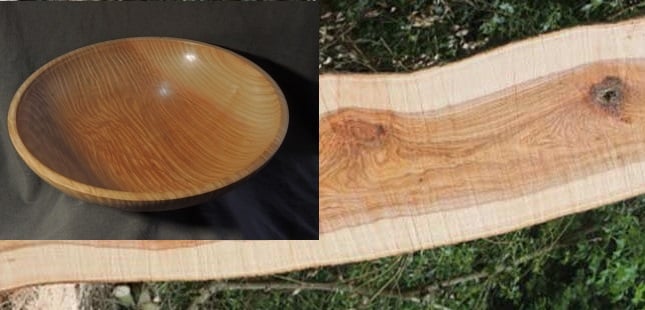 Tamar Woodturnings