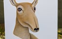 Endangered Species Charity Series
