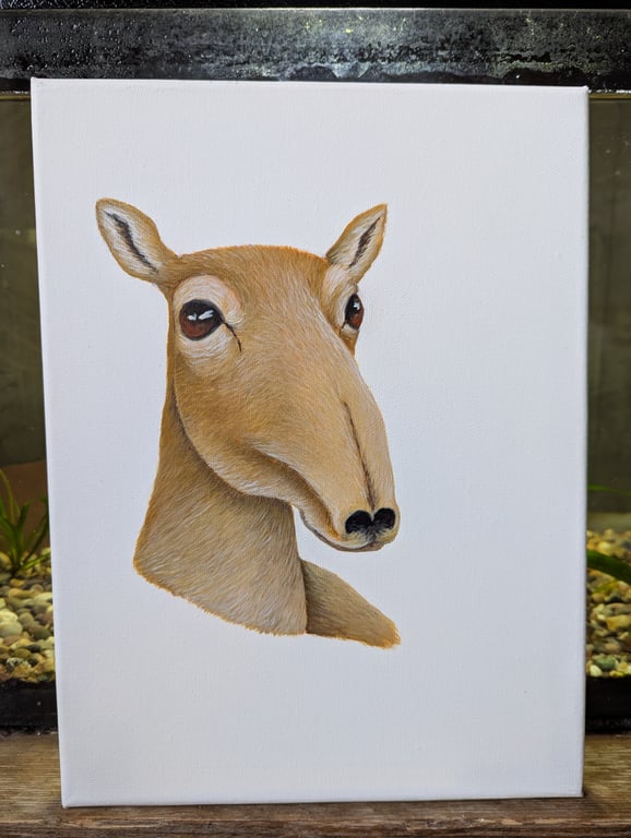 Mongolian Saiga Antelope Charity Painting 