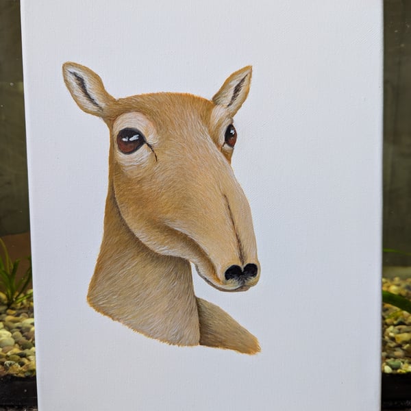 Mongolian Saiga Antelope Charity Painting 