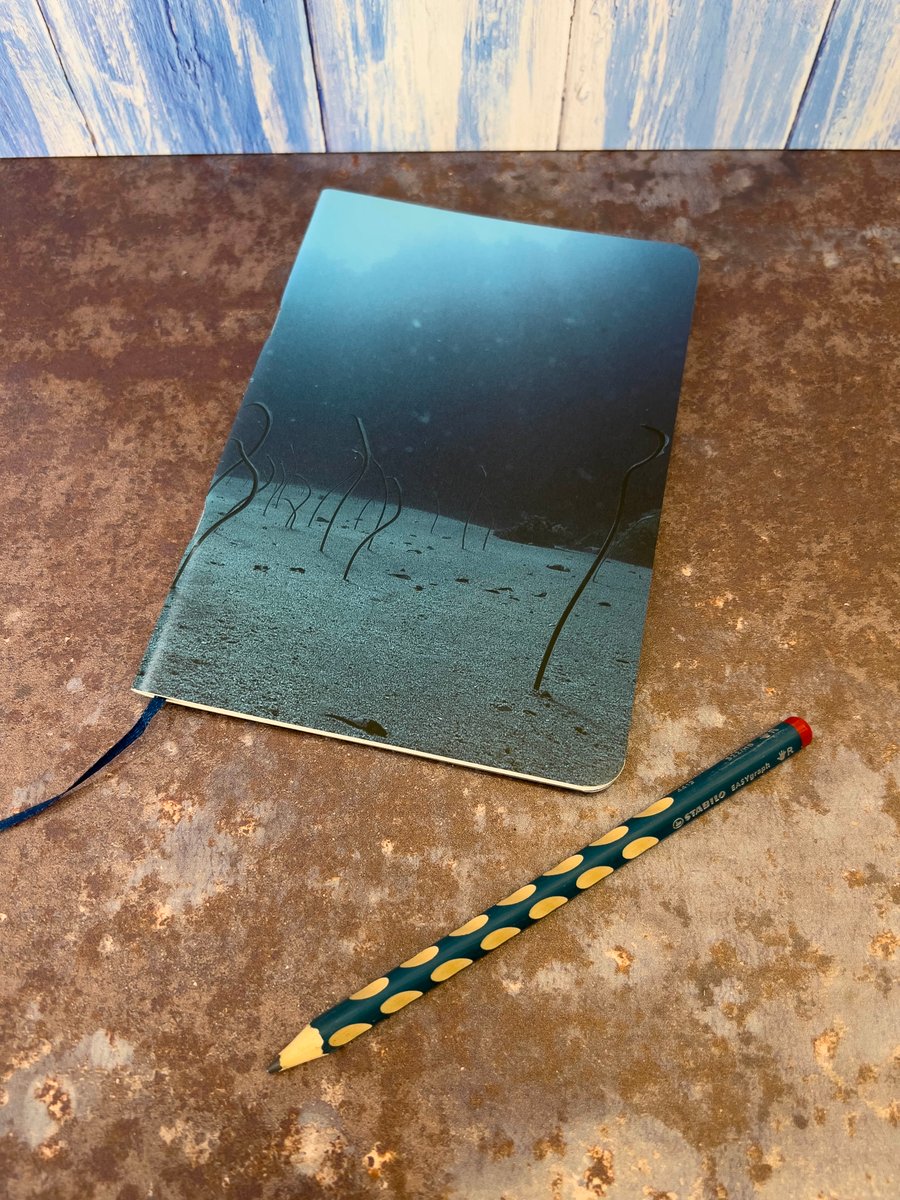Notebook, Marine themed, A5 (ish), made from up-cycled and recycled materials.