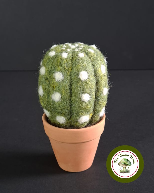 Desert Cactus. Needle Felted with Wool Fibres. Real Terracotta Pot.