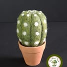 Desert Cactus. Needle Felted with Wool Fibres. Real Terracotta Pot.