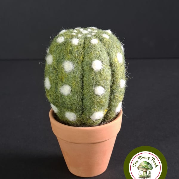 Desert Cactus. Needle Felted with Wool Fibres. Real Terracotta Pot.