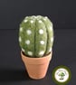 Desert Cactus. Needle Felted with Wool Fibres. Real Terracotta Pot.