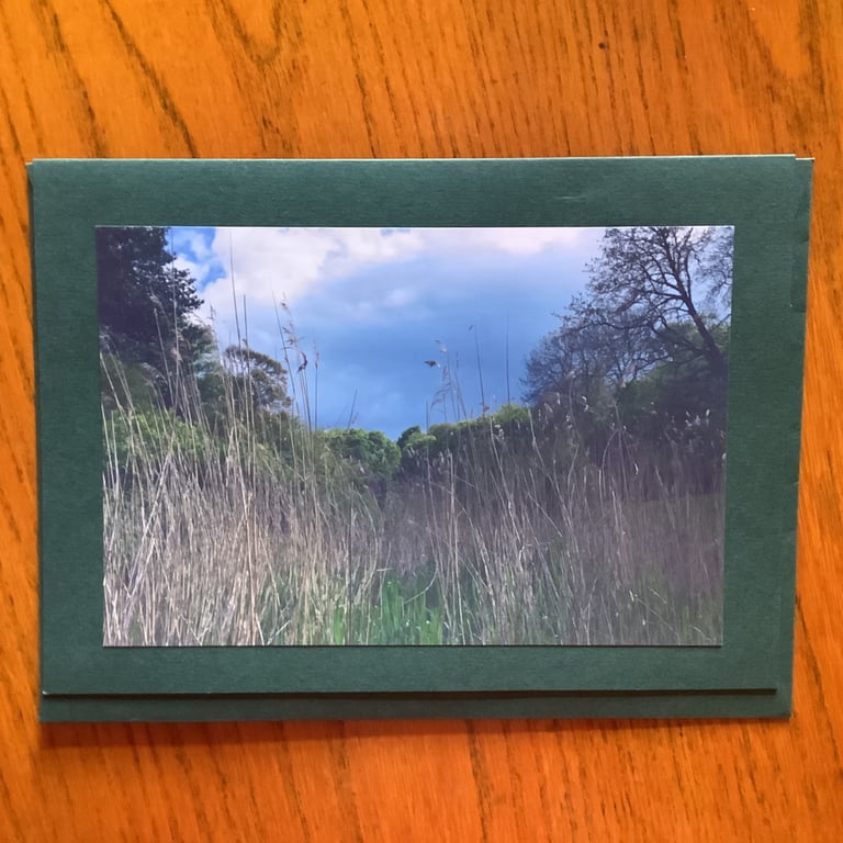 Handmade photo card a view through the reeds