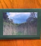 Handmade photo card a view through the reeds