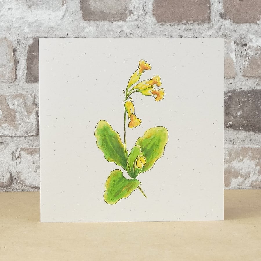 Blank Card Wildflower Cowslip Eco Friendly