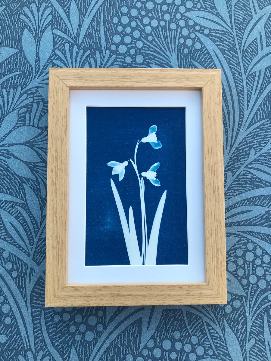 Snowdrop Cyanotype Photogram, botanical Birthday Gift.