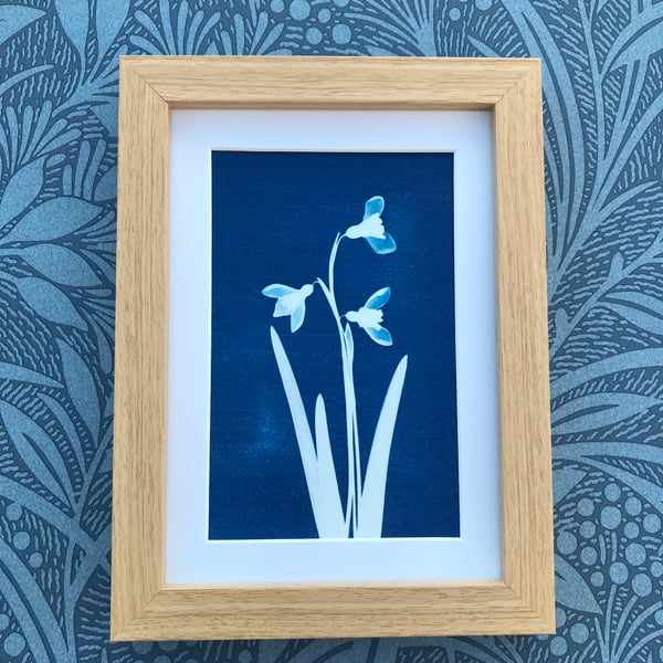 Snowdrop Cyanotype Photogram, botanical Birthday Gift.