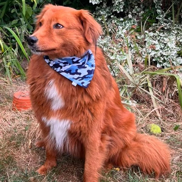 Blue Camo Cotton Dog Bandana Paws on Patrol Pet Accessory