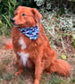 Blue Camo Cotton Dog Bandana Paws on Patrol Pet Accessory
