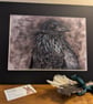 Windswept Raven, an A4 or A3 signed print of an original drawing. - Image 2