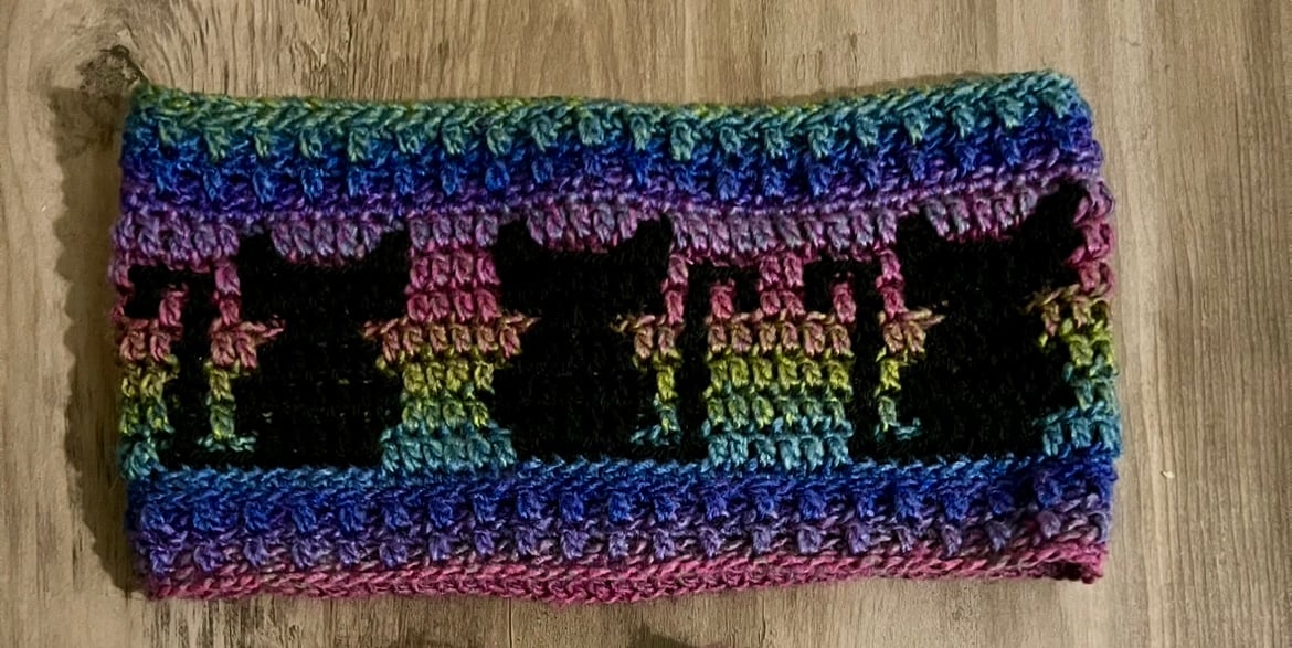 Handmade Crochet Cat Cowl – Rainbow Gradient 