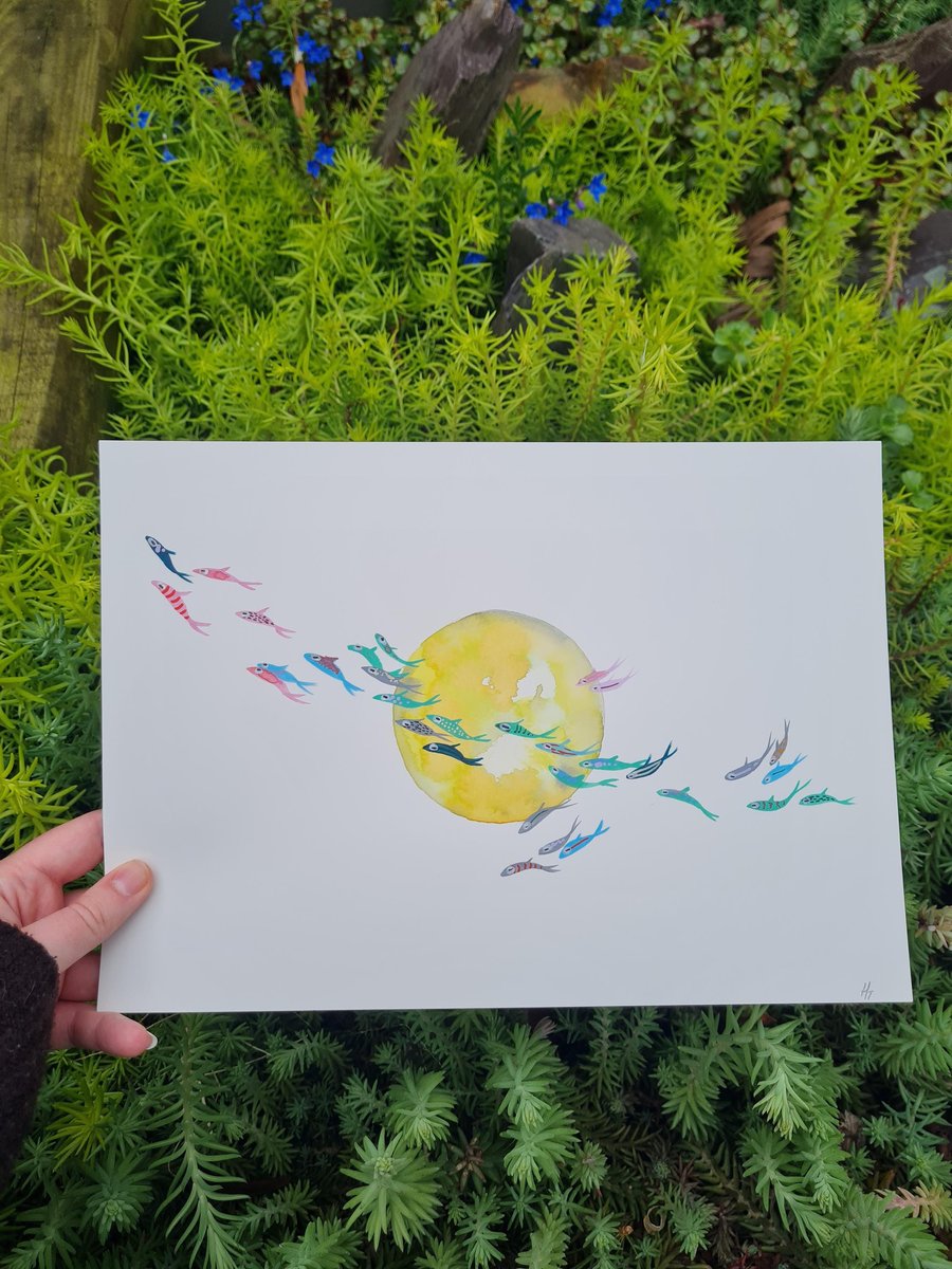 Original colourful fish watercolour painting