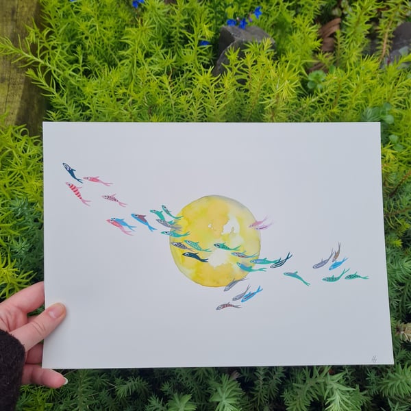 Original colourful fish watercolour painting