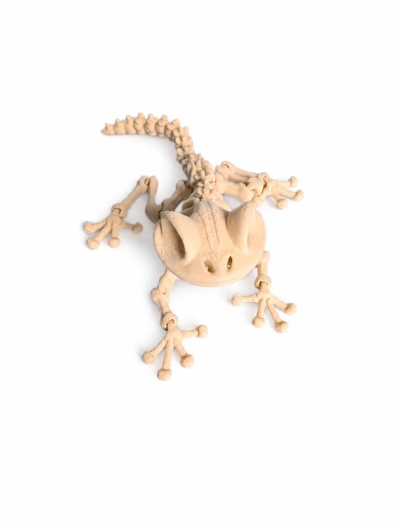 3D Printed Gecko Skeleton Frog Flexible Articulated Animal Fidget Toy Creepy Cut