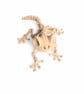 3D Printed Gecko Skeleton Frog Flexible Articulated Animal Fidget Toy Creepy Cut