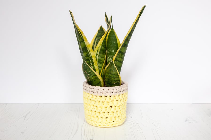 Small plant pot cover in yellow & cream. Made from recycled cotton. 