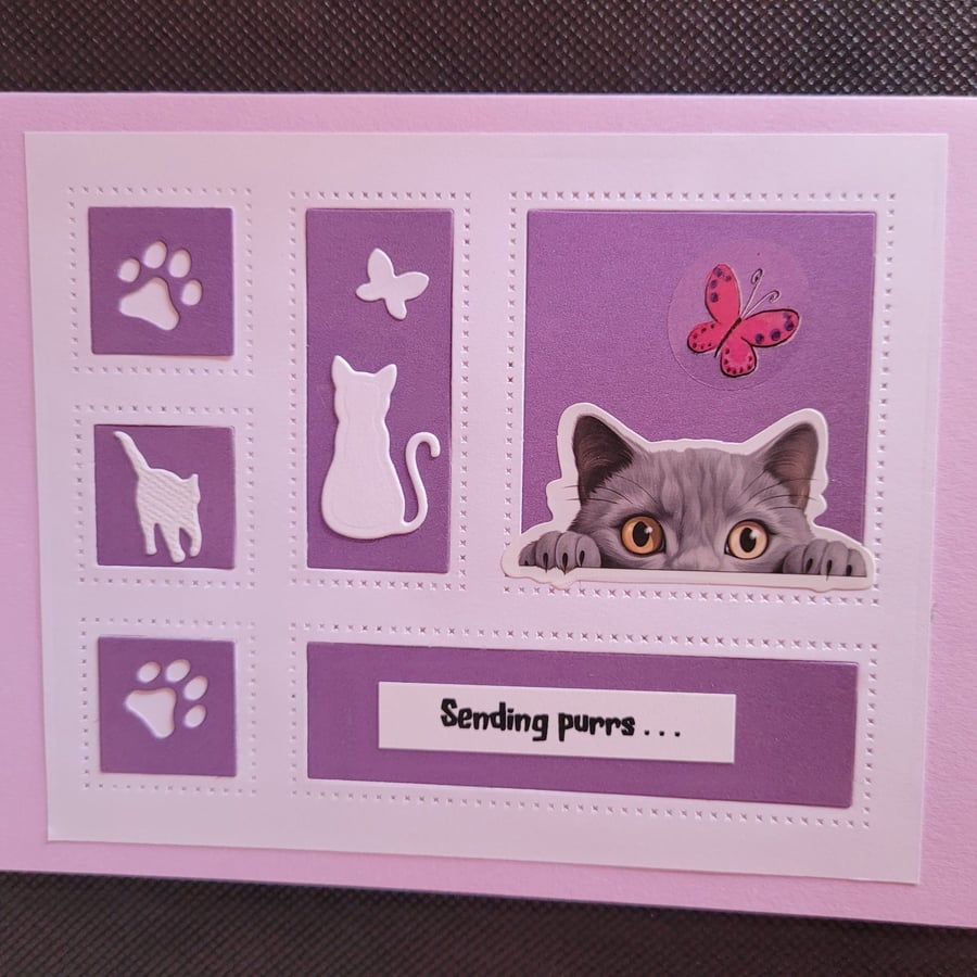 Cats blank greetings card, grey cat, windows