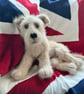 Little cross breed puppy dog - Image 5