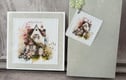 Gift Sets 
