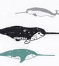 Narwhals  - Greetings Card - Image 1