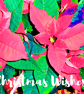 Poinsettia Profusion Christmas Card - Image 2