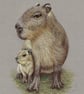 Capybara Fine Art Print - Image 4
