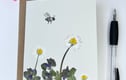 Pressed Flower Greeting Cards