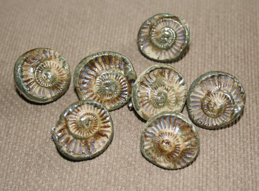 Handmade ammonite ceramic brooch