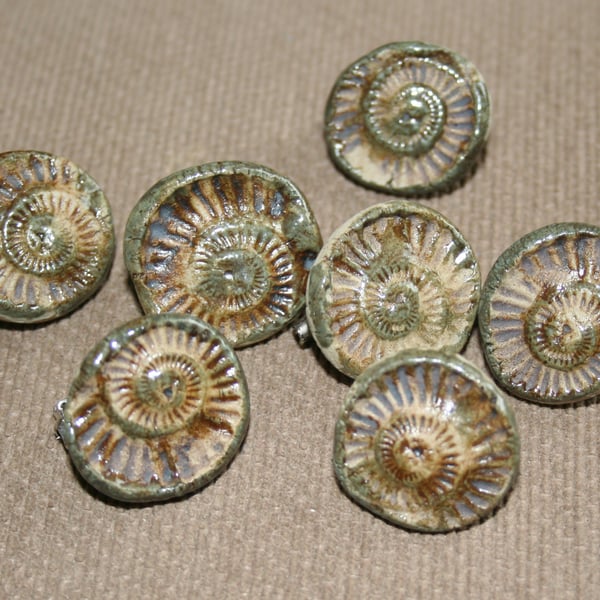 Handmade ammonite ceramic brooch