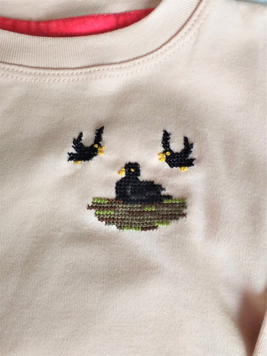 Crow, Long-sleeved T-shirt, age 4, hand embroidered