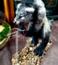 Large needlefelt fantasy werewolf sculpture  - Image 2